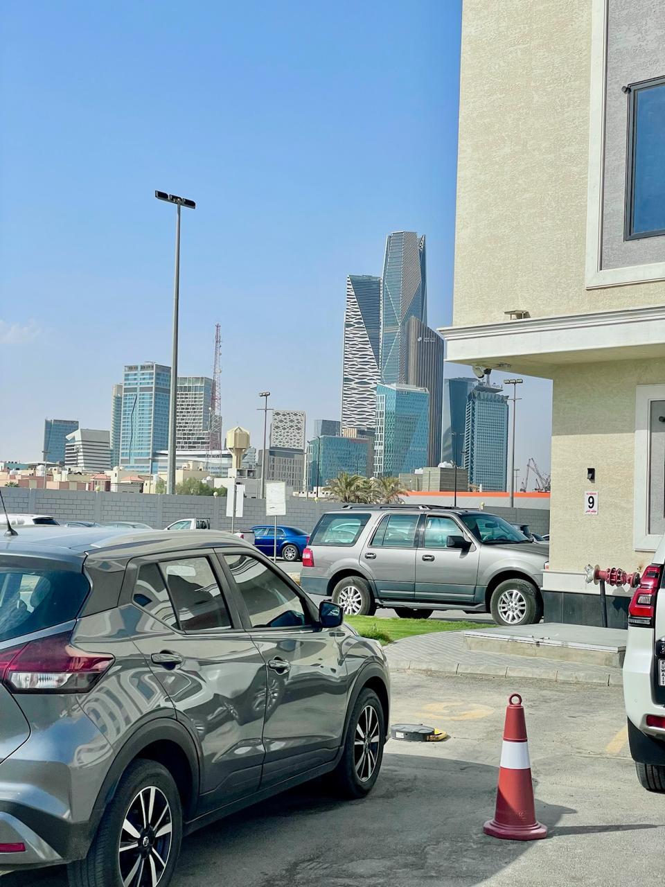 كادي ليفينج - النخيل